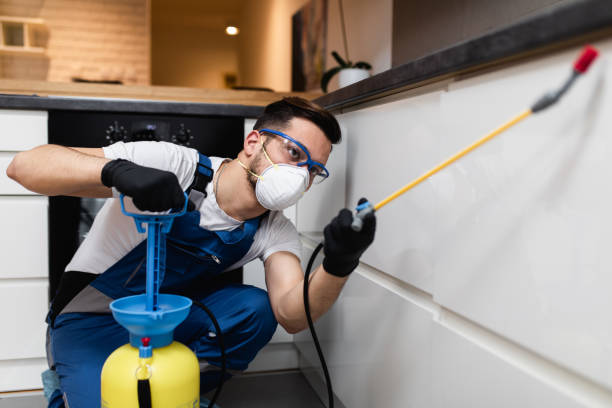Best Pest Inspection Near Me  in Bent, NE
