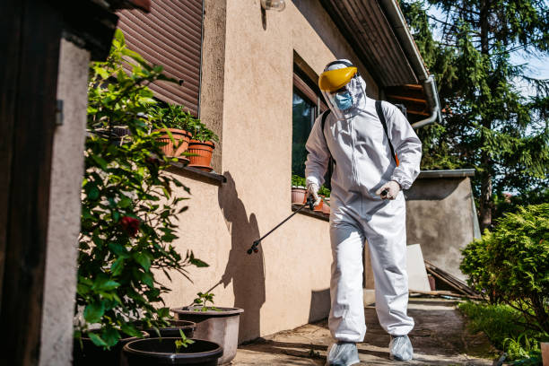 Best Local Pest Control Services  in Bent, NE