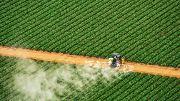 Best Best Pest Control Companies  in Bent, NE