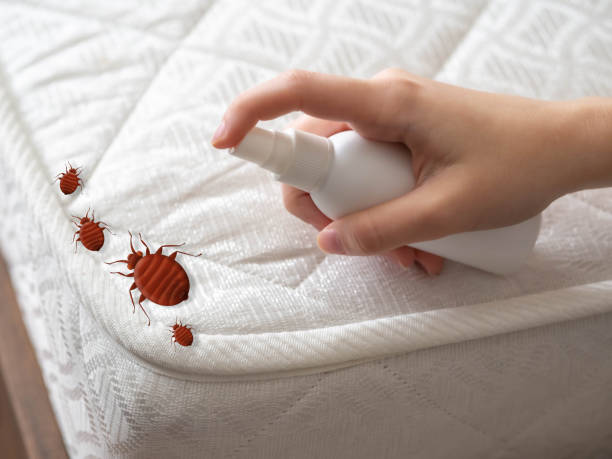 Best Best Pest Control Companies  in Bent, NE