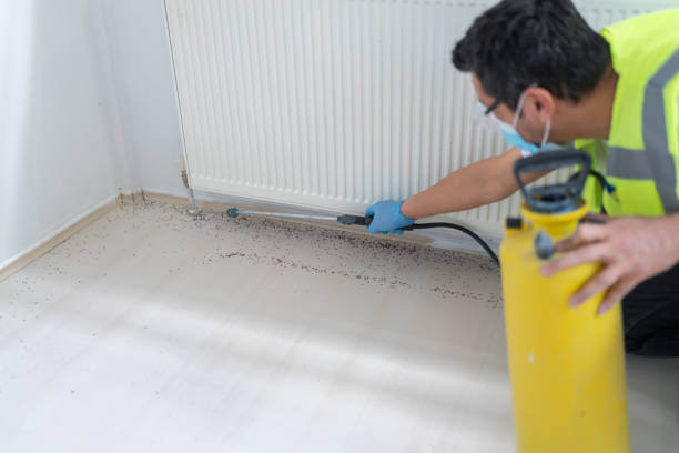 Best Residential Pest Control  in Bent, NE